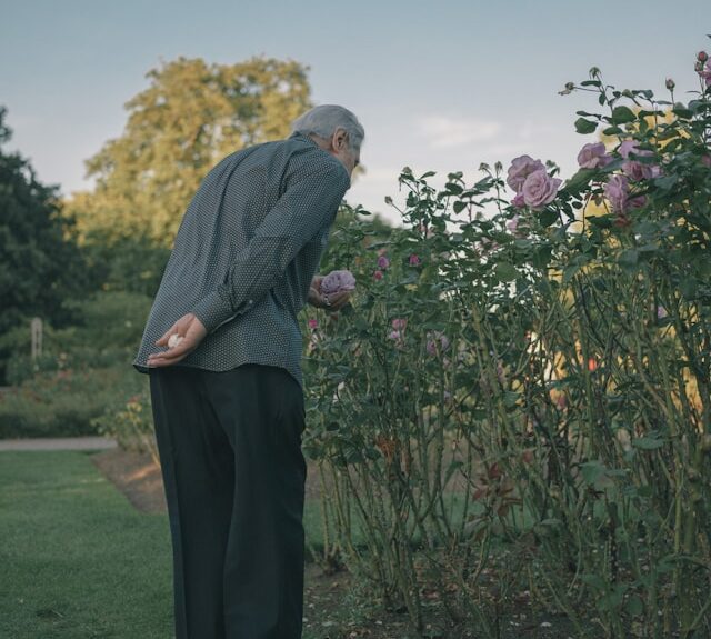 old man smelling flowers in garden